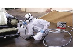 What are common car repair paints